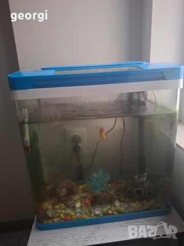 продавам аквариум , снимка 2 - Аквариуми - 52772907