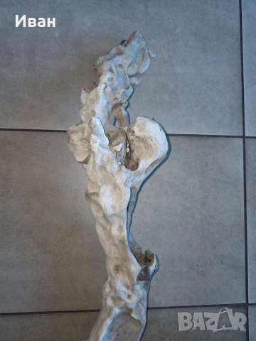 корен от дърво с камъни в него, снимка 9 - Декорация за дома - 53568968