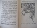 Книга "Арабски приказки" - 96 стр., снимка 4