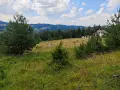 продавам ливада в землището на село Лилково община Родопи, снимка 11