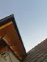 Американски безшевни улуци , снимка 6
