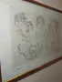 Рисунка-Христо Панев , снимка 6