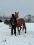 Продавам БТК ….., снимка 2
