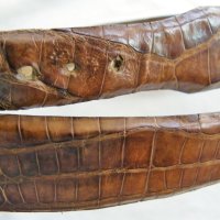 Дамски колан от естествена крокодилска кожа, снимка 7 - Колани - 40787905