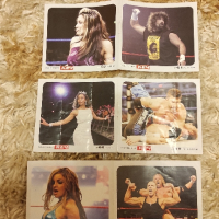 Мини уникални плакати на Първична сила WWE - Разбиване - Кеч
, снимка 3 - Нумизматика и бонистика - 44701040