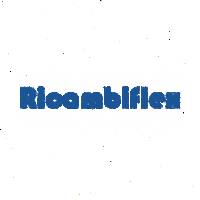 RICAMBIFLEX 01.441.525 Жило съединител за RENAULT Laguna (B56), (K56), снимка 2 - Части - 36522228