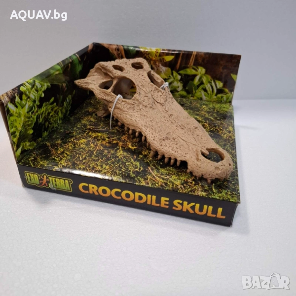 Декорация за терариум - череп на крокодил, снимка 1