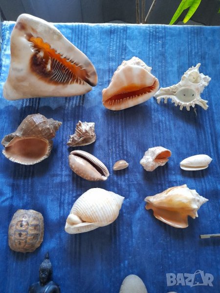 Различни антикварни вещи, снимка 1