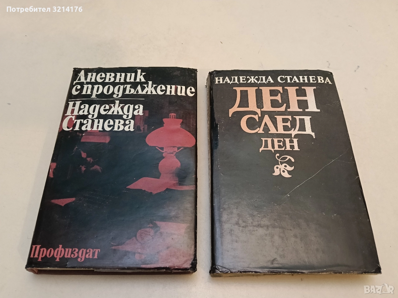 Дневник с продължение / Ден след ден - Надежда Станева, снимка 1
