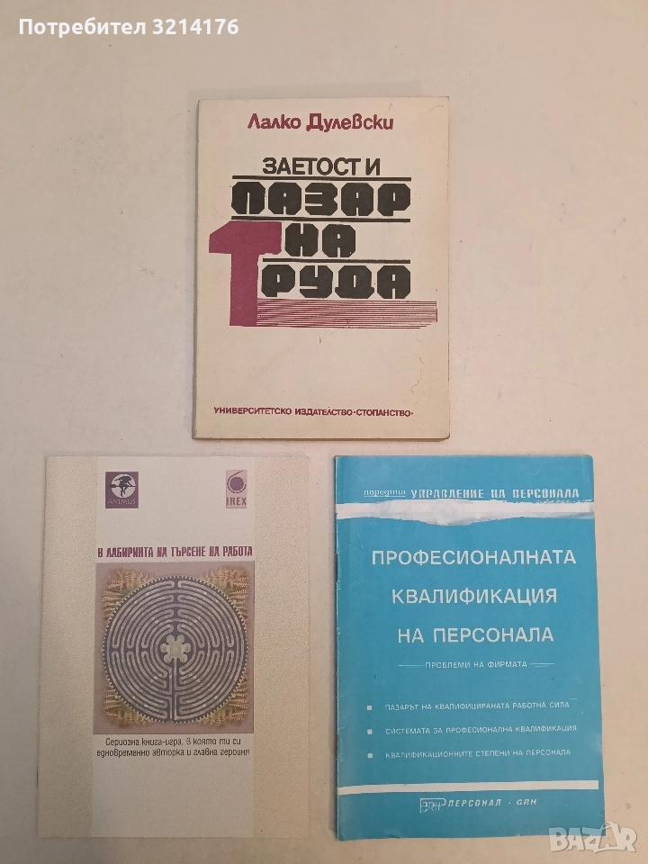 Заетост и пазар на труда - Лалко Дулевски (1992), снимка 1