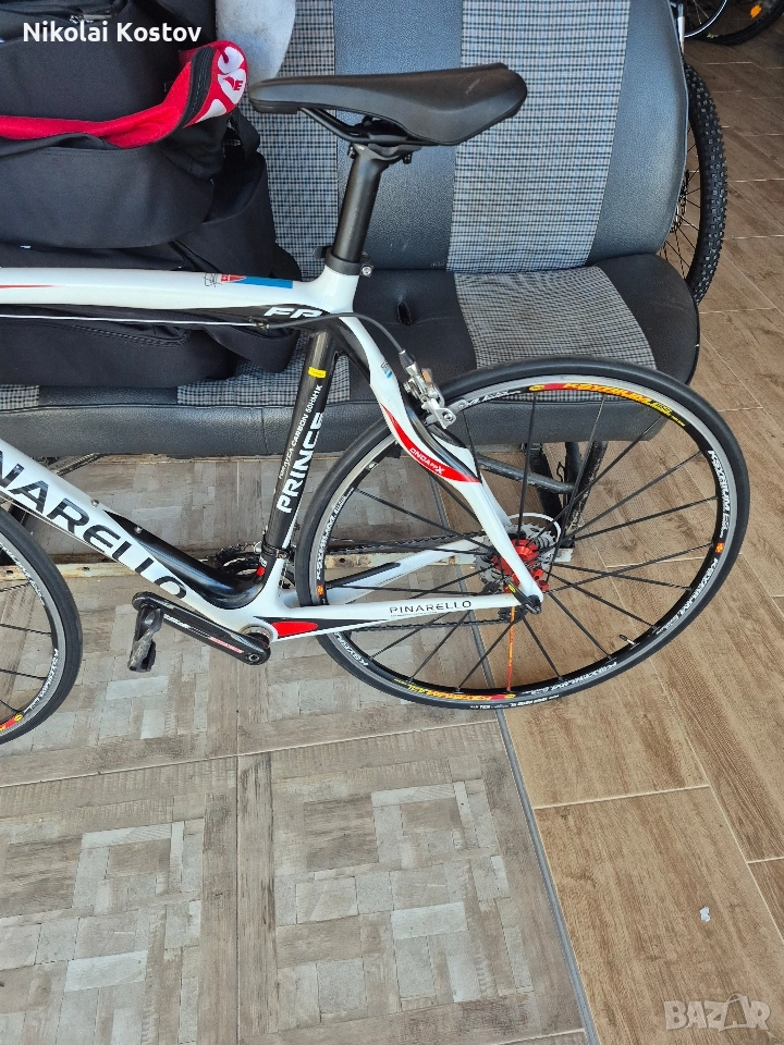 шосеен бегач, снимка 1