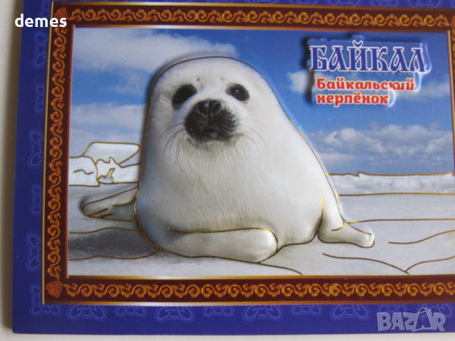 Автентичен 3D магнит от езерото Байкал, Русия-серия, снимка 4 - Колекции - 44588838