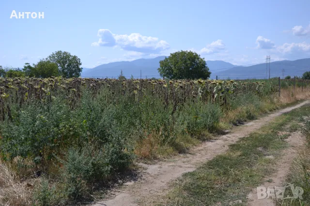 Продава ПАРЦЕЛ, с. Катуница, област Пловдив, снимка 5 - Парцели - 47807016
