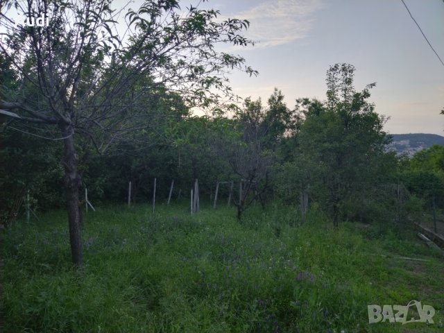 Продавам вила кв. Зона Б Имотът е в регулация с комуникации ток и вода. Вилата е масивна., снимка 14 - Вили - 41086072