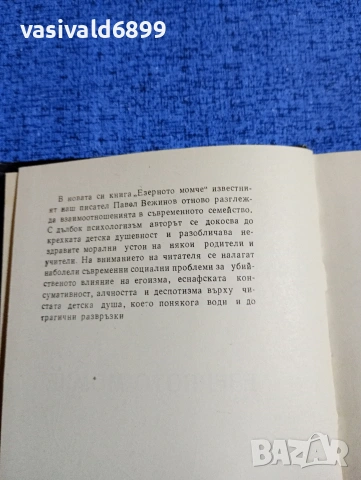 Павел Вежинов - Езерното момче , снимка 5 - Българска литература - 53516879