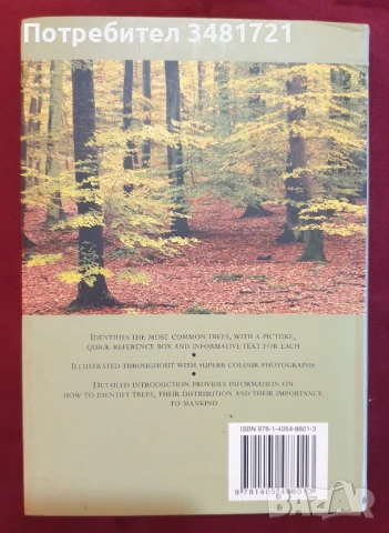 Справочник на дърветата по света / A Concise Guide to Trees, снимка 10 - Енциклопедии, справочници - 50869544