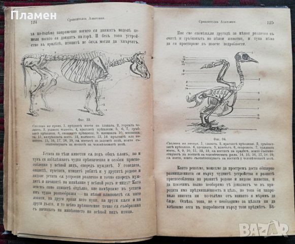 Цель въ естеството и няколко теории /1891/ Андрей Стоевъ Цановъ, снимка 6 - Антикварни и старинни предмети - 35961002