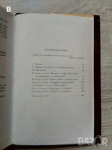 Какво да се прави? Из разкази за новите хора Николай Чернишевски, снимка 3 - Художествена литература - 48420686