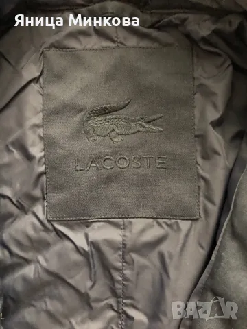 Дамско зимно яке с гъши пух Lacoste, снимка 7 - Якета - 47363554