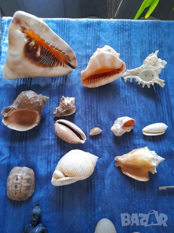 Различни антикварни вещи, снимка 11 - Други ценни предмети - 42134117