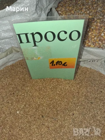 Просо Просо Просо