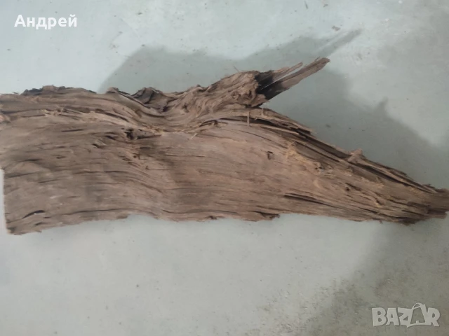 Огромни Мангров корен 50+см. 60 - 85лв. , снимка 15 - Оборудване за аквариуми - 51042014