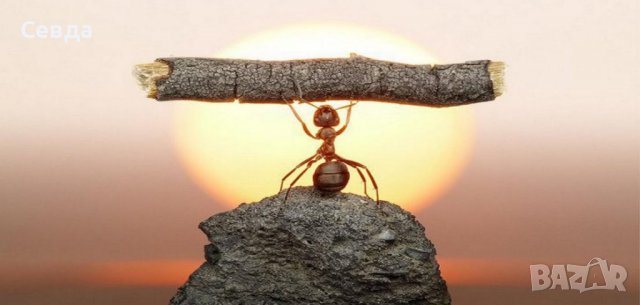 Предлагам консултации с психолог , снимка 5 - Други игри - 38986118