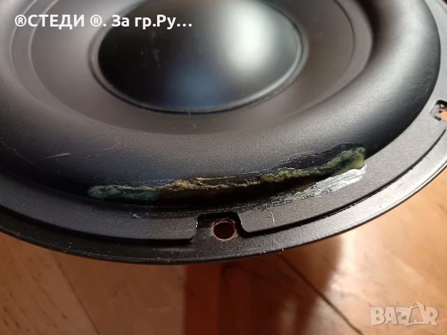 Говорител от субуфер Teufel Бас 10 инча, снимка 3 - Тонколони - 52777654