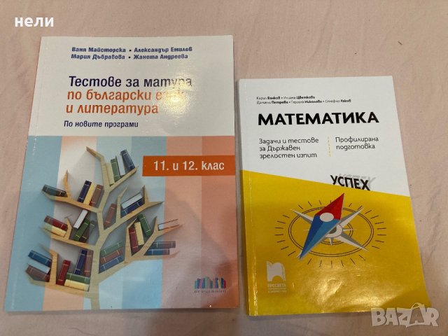 Помагала за подготовка за матура за 12.клас ДЗИ, снимка 1 - Учебници, учебни тетрадки - 42139772