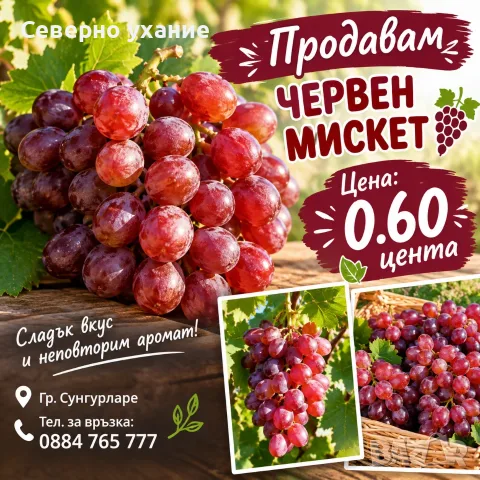 Продавам грозде Червен мискет