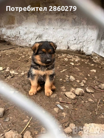 Свободни мъжко и женско. 