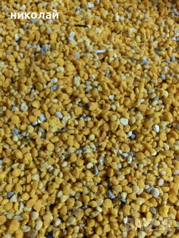 Продавам чист домашен пчелен мед и пчелен прашец , снимка 3 - Пчелни продукти - 51852441