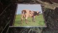 Pink Floyd - Atom heart mother, снимка 1 - CD дискове - 44256971