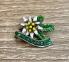 Винтидж емайлирана сувенирна брошка-значка „Еделвайс“ от Титизе, Германия, снимка 1