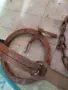 стар капан за дивеч, снимка 2