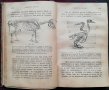 Цель въ естеството и няколко теории /1891/ Андрей Стоевъ Цановъ, снимка 6