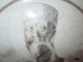 Царство България-стара порцеланова чиния портрет Фердинанд, снимка 8