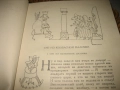 Ханс Кр. Андерсен - Приказки и истории - на руски език !, снимка 9