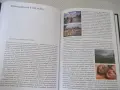 Книга "Мина половин живот - Владимир Карамазов" - 320 стр., снимка 7