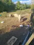 Продават се всички овце , снимка 3