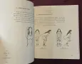 The Secret Art of Seamm Jasani. 58 Movements for Eternal Youth from Ancient Tibet, снимка 9