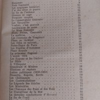 Victor Hugo, снимка 4 - Чуждоезиково обучение, речници - 41972746