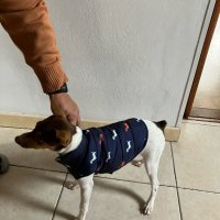 Зимно топло яке за кучета Ropa Para Perro, снимка 12 - За кучета - 41015208