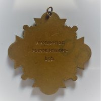 Австрийски медал Манерсдорф, Австрия, 1974, снимка 2 - Антикварни и старинни предмети - 35919982