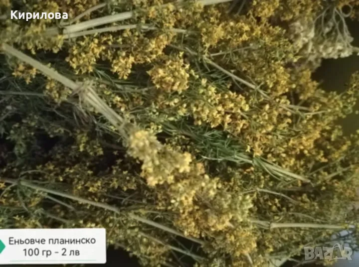 еньовче, снимка 1