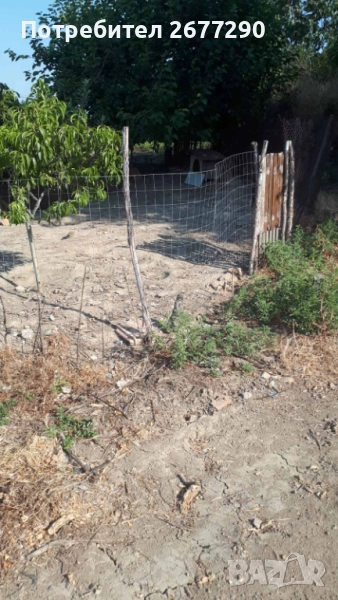 продавам упи в с.Кулата Благоевградска област, снимка 1