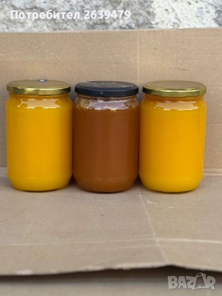 Пчелен мед на тенекии (полифлорен), снимка 1