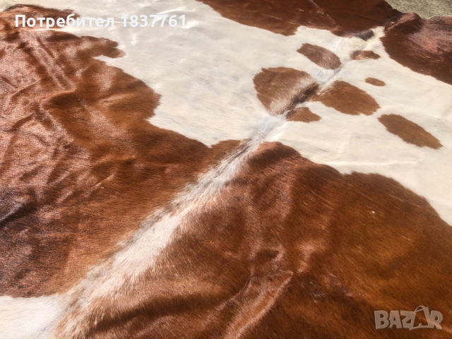 Телешка кожа , снимка 5 - Декорация за дома - 52242930
