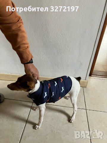 Зимно топло яке за кучета Ropa Para Perro, снимка 12 - За кучета - 41015208
