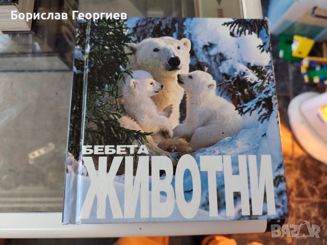 Книга фотоалбум бебета животни